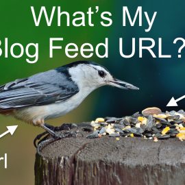Blog Feed URL: How Do I Find It?